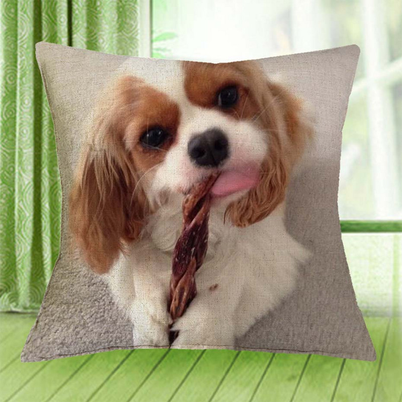 Cavalier King Charles spániel 45x45 cm párnahuzat párnahuzat hálószoba kanapé lakberendezés
