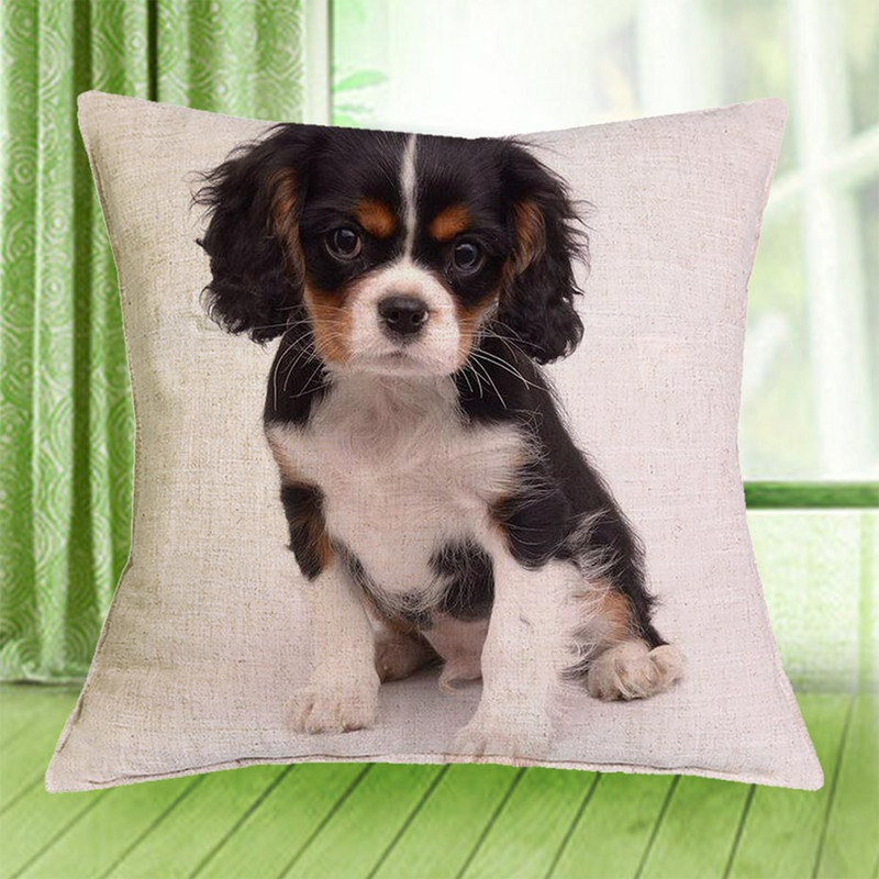 Cavalier King Charles spániel 45x45 cm párnahuzat párnahuzat hálószoba kanapé lakberendezés