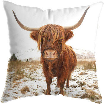Scottish Highland Cat Cow Yak Animal Pillowcase Μαξιλαροθήκη Μαξιλαροθήκη Διακόσμηση σπιτιού Μαξιλαροθήκη Διακόσμηση καναπέ