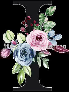 Персонализирани калъфки за възглавници Персонализиран инициал с име Калъфка за възглавница Шаферка Калъфка за възглавница Рожден ден Сватбени подаръци