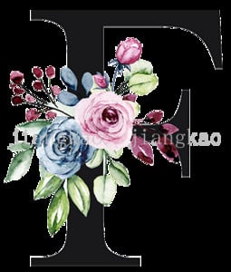 Персонализирани калъфки за възглавници Персонализиран инициал с име Калъфка за възглавница Шаферка Калъфка за възглавница Рожден ден Сватбени подаръци