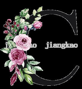 Персонализирани калъфки за възглавници Персонализиран инициал с име Калъфка за възглавница Шаферка Калъфка за възглавница Рожден ден Сватбени подаръци