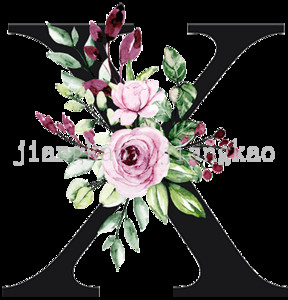 Персонализирани калъфки за възглавници Персонализиран инициал с име Калъфка за възглавница Шаферка Калъфка за възглавница Рожден ден Сватбени подаръци