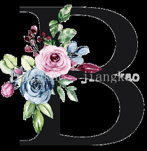 Персонализирани калъфки за възглавници Персонализиран инициал с име Калъфка за възглавница Шаферка Калъфка за възглавница Рожден ден Сватбени подаръци