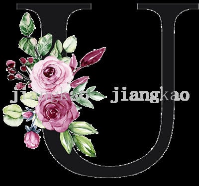 Персонализирани калъфки за възглавници Персонализиран инициал с име Калъфка за възглавница Шаферка Калъфка за възглавница Рожден ден Сватбени подаръци