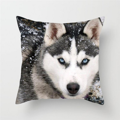 Decor pentru casă Husă de pernă cu imprimeu cu animale sălbatice Husă de pernă cu fotografie Regele lupului Față de pernă decor pentru canapea de acasă 45x45cm