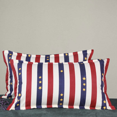 1 τμχ Μαξιλαροθήκη με φερμουάρ Ενήλικας Φοιτητής 48x74cm Μαξιλαροθήκη Παχύ, Γυαλόχαρτο Ύφασμα Μαξιλαροθήκη Χαριτωμένη Μαξιλαροθήκη Χαριτωμένη μαξιλαροθήκη