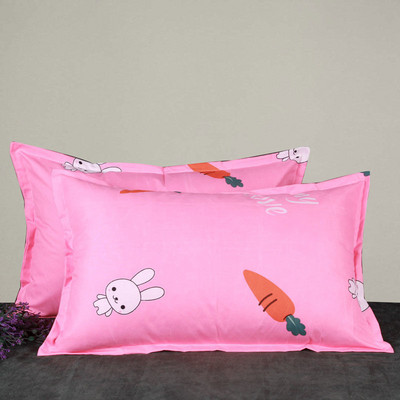 1 τμχ Μαξιλαροθήκη με φερμουάρ Ενήλικας Φοιτητής 48x74cm Μαξιλαροθήκη Παχύ, Γυαλόχαρτο Ύφασμα Μαξιλαροθήκη Χαριτωμένη Μαξιλαροθήκη Χαριτωμένη μαξιλαροθήκη