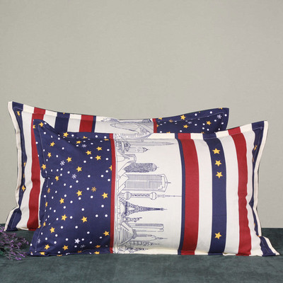 1 τμχ Μαξιλαροθήκη με φερμουάρ Ενήλικας Φοιτητής 48x74cm Μαξιλαροθήκη Παχύ, Γυαλόχαρτο Ύφασμα Μαξιλαροθήκη Χαριτωμένη Μαξιλαροθήκη Χαριτωμένη μαξιλαροθήκη