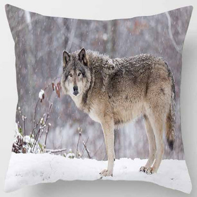 45X45CM Animals World Tiger Lion pagalvės užvalkalas Mieli namų dekoratyvinių pagalvių užvalkalai sofai svetainei