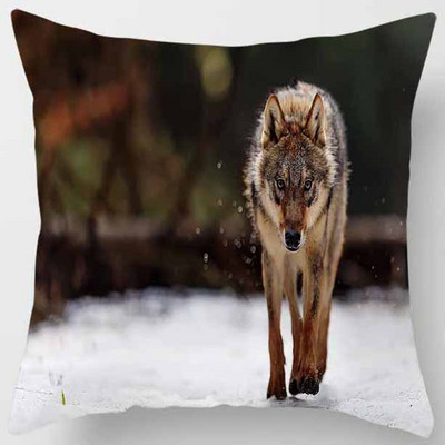 45X45CM Animals World Tiger Lion pagalvės užvalkalas Mieli namų dekoratyvinių pagalvių užvalkalai sofai svetainei