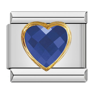 Hapiship Πρωτότυπο Daisy Fashion Heart Ellipse Χρώμα CZ Ιταλικό γούρι Σύνδεσμοι Εφαρμογή βραχιόλι 9 χιλιοστών Κοσμήματα από ανοξείδωτο ατσάλι κατασκευή DJ374