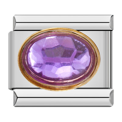 Hapiship Πρωτότυπο Daisy Fashion Heart Ellipse Χρώμα CZ Ιταλικό γούρι Σύνδεσμοι Εφαρμογή βραχιόλι 9 χιλιοστών Κοσμήματα από ανοξείδωτο ατσάλι κατασκευή DJ374