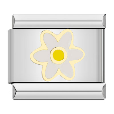 Hapiship New Fashion Women Girls Pretty Glaze Rose Flower Charm Links Fit 9mm Narukvica od nehrđajućeg čelika DIY Izrada nakita DJ027