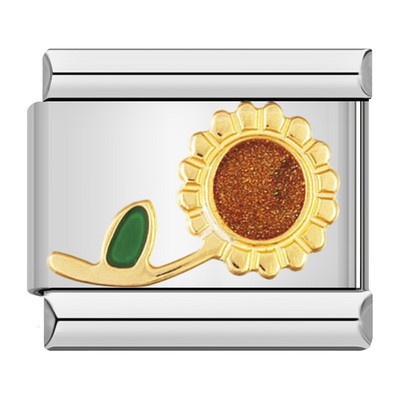 Hapiship Fashion Glaze Süda Päikese Lill Jänes Itaalia Lingid Charm Fit 9mm Käevõru Roostevabast Terasest Ehted Ise isetegemine DJ542