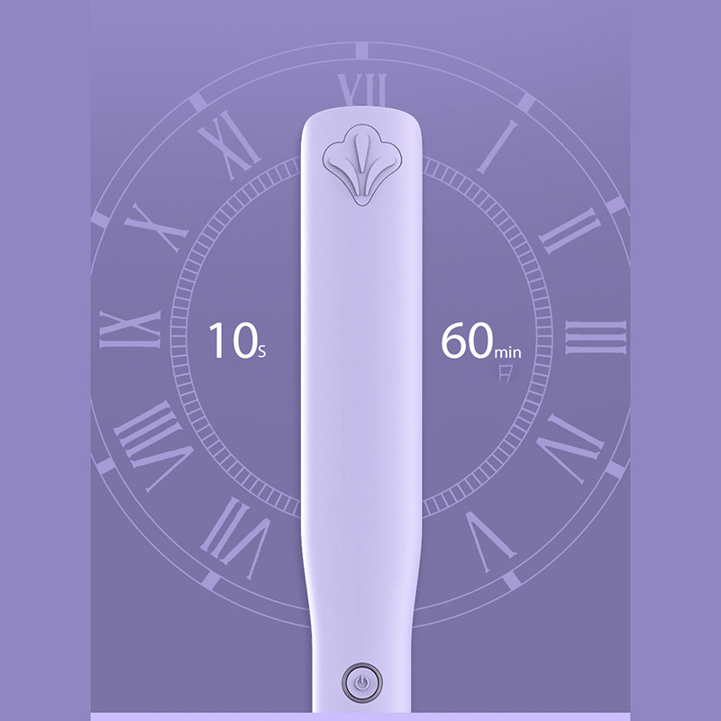 SONOFLY Profesionalus Negative Ion Care plaukų tiesintuvas LCD pūkuotas plaukų suktukas „frizzy Dry“ atkuria pažeidimus formavimo įrankiai JF-838