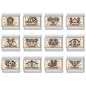 Hapiship 2022 Nova ženska moda Rose 12 Constellation Charm Italian Link Fit 9mm Narukvica od nehrđajućeg čelika DIY nakit DJ586