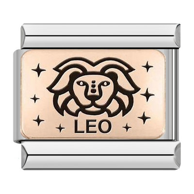 Hapiship 2022 Nova ženska moda Rose 12 Constellation Charm Italian Link Fit 9mm Narukvica od nehrđajućeg čelika DIY nakit DJ586