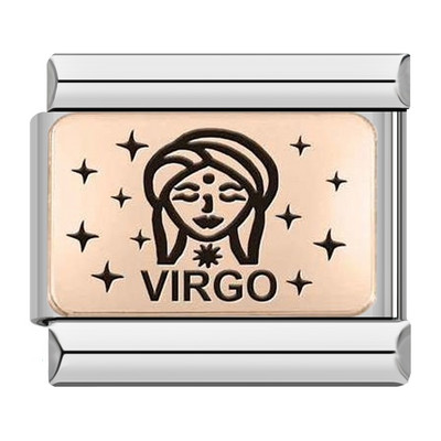 Hapiship 2022 Nova ženska moda Rose 12 Constellation Charm Italian Link Fit 9mm Narukvica od nehrđajućeg čelika DIY nakit DJ586