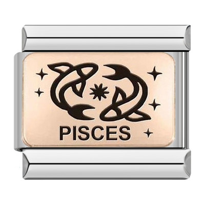 Hapiship 2022 Nova ženska moda Rose 12 Constellation Charm Italian Link Fit 9mm Narukvica od nehrđajućeg čelika DIY nakit DJ586