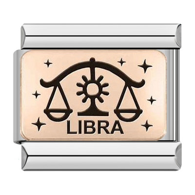 Hapiship 2022 Nova ženska moda Rose 12 Constellation Charm Italian Link Fit 9mm Narukvica od nehrđajućeg čelika DIY nakit DJ586