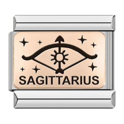 Hapiship 2022 Nova ženska moda Rose 12 Constellation Charm Italian Link Fit 9mm Narukvica od nehrđajućeg čelika DIY nakit DJ586