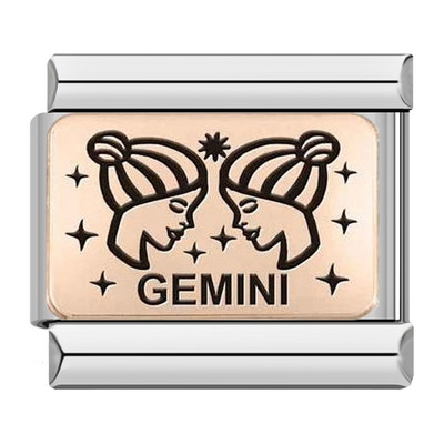 Hapiship 2022 Nova ženska moda Rose 12 Constellation Charm Italian Link Fit 9mm Narukvica od nehrđajućeg čelika DIY nakit DJ586