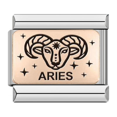 Hapiship 2022 Nova ženska moda Rose 12 Constellation Charm Italian Link Fit 9mm Narukvica od nehrđajućeg čelika DIY nakit DJ586