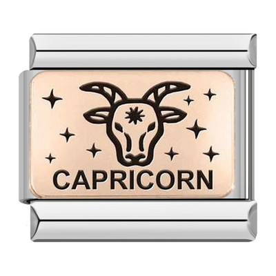 Hapiship 2022 Nova ženska moda Rose 12 Constellation Charm Italian Link Fit 9mm Narukvica od nehrđajućeg čelika DIY nakit DJ586