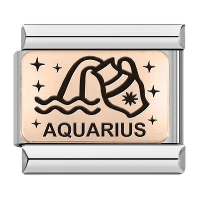 Hapiship 2022 Nova ženska moda Rose 12 Constellation Charm Italian Link Fit 9mm Narukvica od nehrđajućeg čelika DIY nakit DJ586