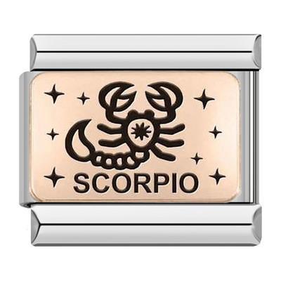 Hapiship 2022 Nova ženska moda Rose 12 Constellation Charm Italian Link Fit 9mm Narukvica od nehrđajućeg čelika DIY nakit DJ586