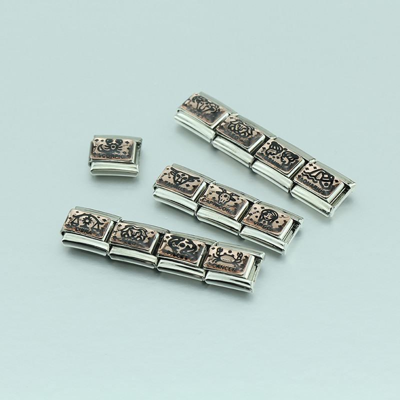 Hapiship 2022 Nova ženska moda Rose 12 Constellation Charm Italian Link Fit 9mm Narukvica od nehrđajućeg čelika DIY nakit DJ586