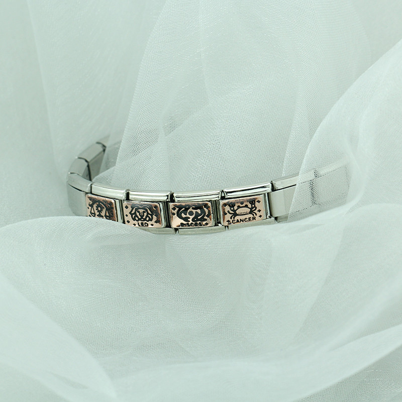 Hapiship 2022 Nova ženska moda Rose 12 Constellation Charm Italian Link Fit 9mm Narukvica od nehrđajućeg čelika DIY nakit DJ586