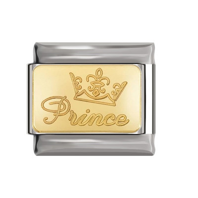 Hapiship Original Daisy Elevant Kangaroo Angel Notes Hope Italian Charm Fit 9mm Käevõru roostevabast terasest ehete valmistamine DJ192