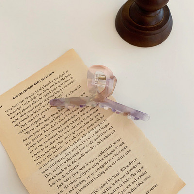 AOMU Ljeto Jesen Leopard Elegantne akrilne kopče za kosu Šminka Ženska frizura Dodaci za kosu