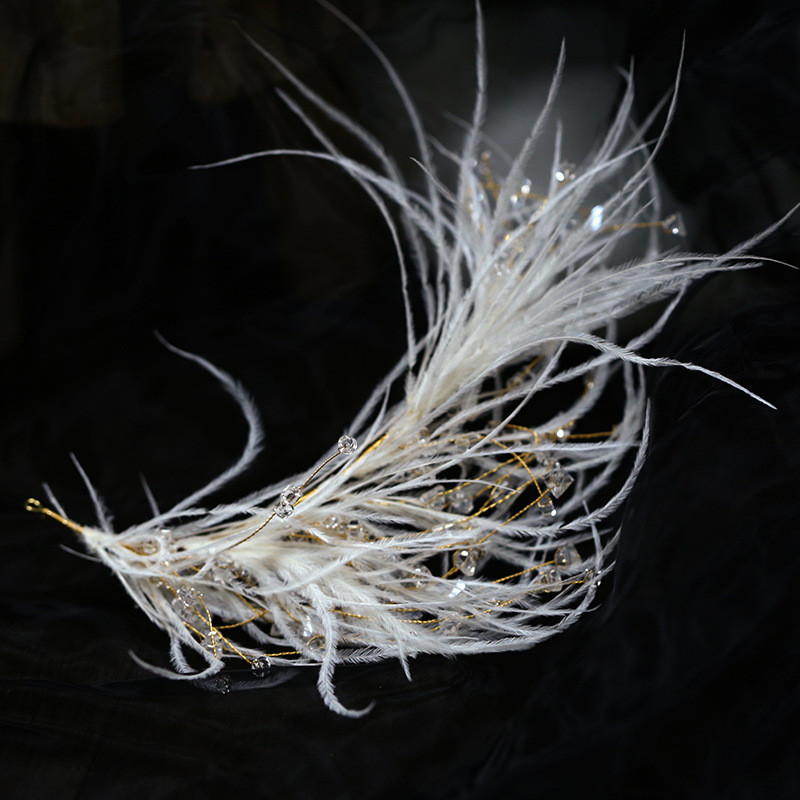 Traka za kosu od umjetnog perja Tijare za žene Traka za glavu od kristalnih perli Obruč za kosu Elegantni vjenčani dodaci za kosu Nakit za djevojke na maturalnoj večeri