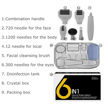6 σε 1 Derma Roller Microneedle Kit For Face Body 5 Replaceable Titanium Heads Home Skincare Cosmetic Non-Invasive Micro Needle