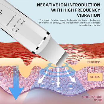 Професионален ултразвуков скрубер за кожата на лицето Дълбоко почистване Импулсно почистване Износ на черни точки Хранене Въведение