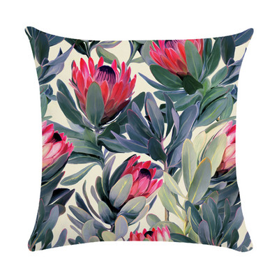 Tropska biljka Jastučnica Sažetak Lišće Zelena koža breskve Baršunasta jastučnica Kućni dekor