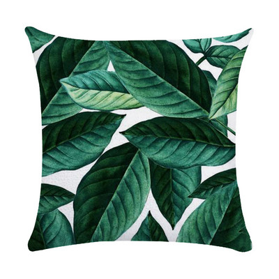 Tropska biljka Jastučnica Sažetak Lišće Zelena koža breskve Baršunasta jastučnica Kućni dekor