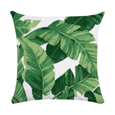 Tropska biljka Jastučnica Sažetak Lišće Zelena koža breskve Baršunasta jastučnica Kućni dekor