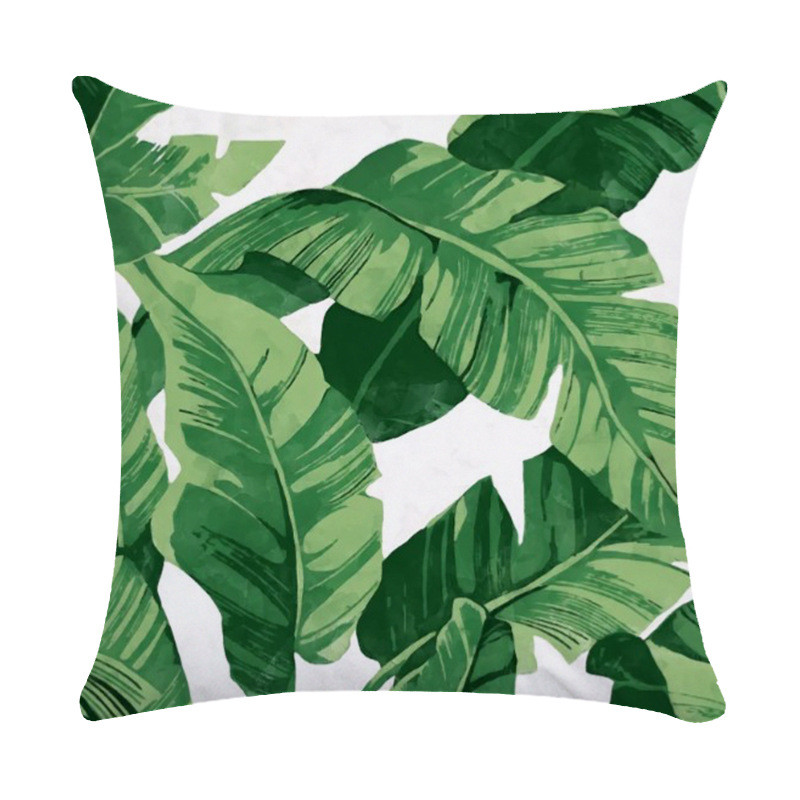 Tropska biljka Jastučnica Sažetak Lišće Zelena koža breskve Baršunasta jastučnica Kućni dekor