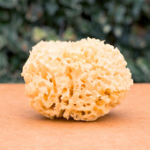 Dabīgais jūras vilnas sūklis aizstājējs atmirušās ādas noņemšanai, pīlings, masāžas pufs tīrīšanas dušas putas ķermeņa sejas mazgāšanas sūklis