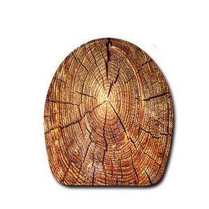 Svijetloplava ploča Prostirka za kupaonicu Prstenovi protiv klizanja Kupaonska prostirka 3D otirač WC prostirka Toillete Navlaka za sjedalo U prostirke 1 kom kupaonske prostirke