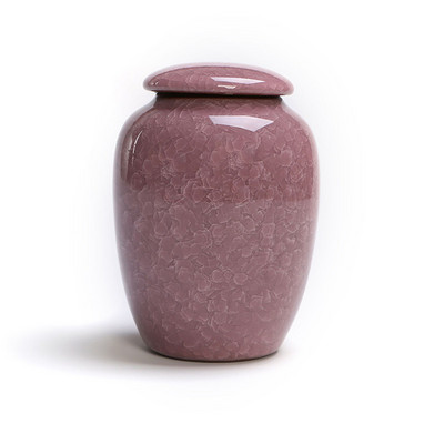 Jauna mājdzīvnieku urna putns suns mājdzīvnieku urnas kremēšana mājdzīvnieku zārki bēru vāze kaķu kremēšanas pelni cilvēku pelniem izgatavoti keramika ar rokām apgleznoti