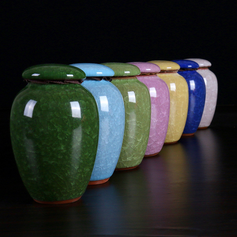 Maza mājdzīvnieka urna Putns Suns Mājdzīvnieku urnas Kremēšana Mājdzīvnieku zārki Apbedīšanas Vāze Kaķu kremēšana Pelni cilvēku pelniem Izgatavota Keramika Ar rokām apgleznota