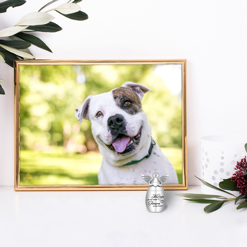 Kremācijas urnas cilvēku pelniem, eņģeļu spārnu piekariņi piemiņas urnas Mini kremācijas urnas suņiem kaķiem pelnu turētājs