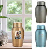 Raznobojne urne za pse od nehrđajućeg čelika, pas, mačka, ptica, miš, kremacija, pepeo, zapečaćena urna za sprovod za pse, staklenka za suvenire za kućne ljubimce 2023. novo