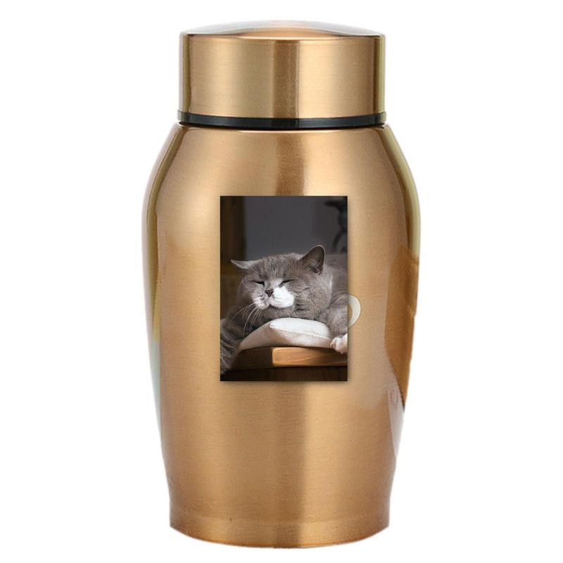 Raznobojne urne za pse od nehrđajućeg čelika, pas, mačka, ptica, miš, kremacija, pepeo, zapečaćena urna za sprovod za pse, staklenka za suvenire za kućne ljubimce 2023. novo