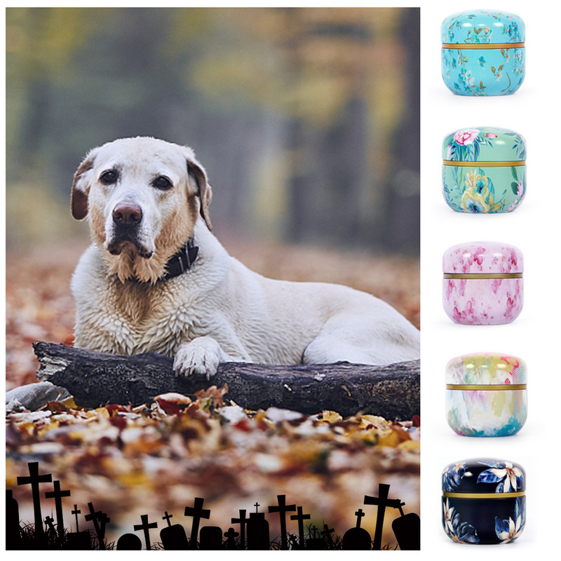 Mājdzīvnieks kaķis suns putns trusis urnas pelniem Mazs kremācijas mini piemiņas Dzelzs urna bēru zārks Mājas dzīvnieku piemiņas urna